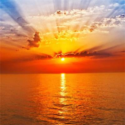 奇异果体育手机app下载